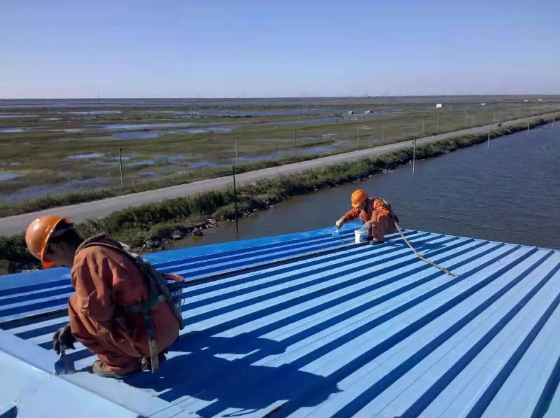 五湖渔场彩钢瓦屋面防腐翻新